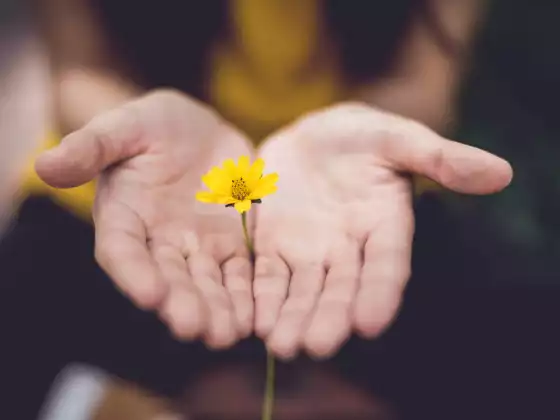Reiki nível 1