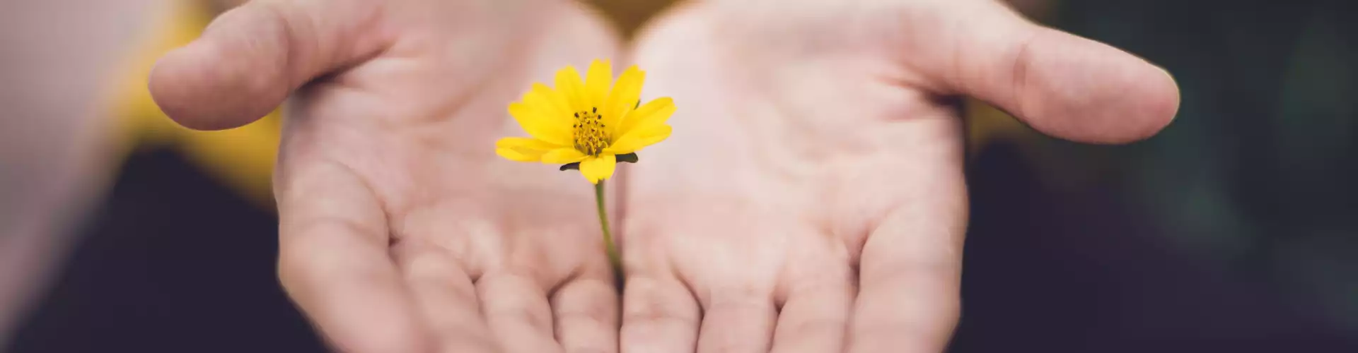 Reiki Nivel 1 - Online Class by Jamie Butler