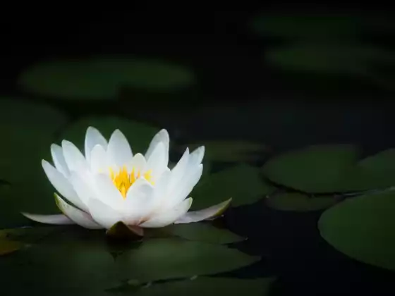 靈氣 2 級