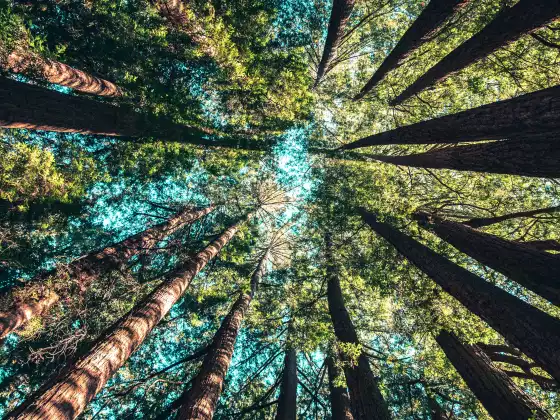 Remote Healing for the Earth and Earth Gate Chakras - Πολύγλωσσο