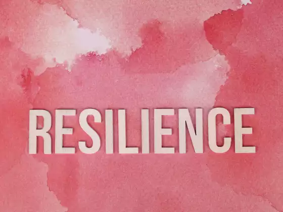 Bereiche der Resilienz