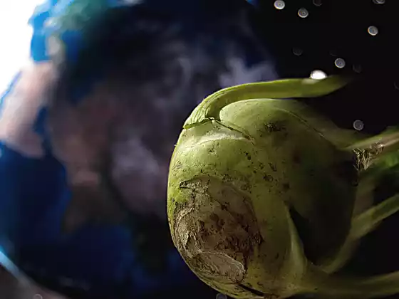 10 frutas y verduras fuera de este mundo para probar