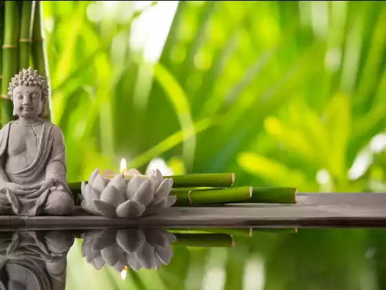 Ling Chi Healing Meditation kasama ang WU Expert Guide na si Carole Park