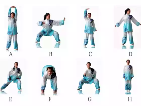 25 dakikalık Qigong 8 İpek Brokar