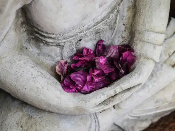 能量疗愈唤醒神圣指引