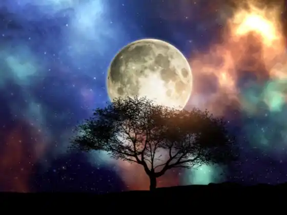 Meditação dos Chakras da Lua Cheia