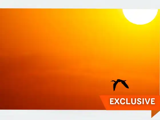 Celebración del solsticio de verano con canalización y sanación