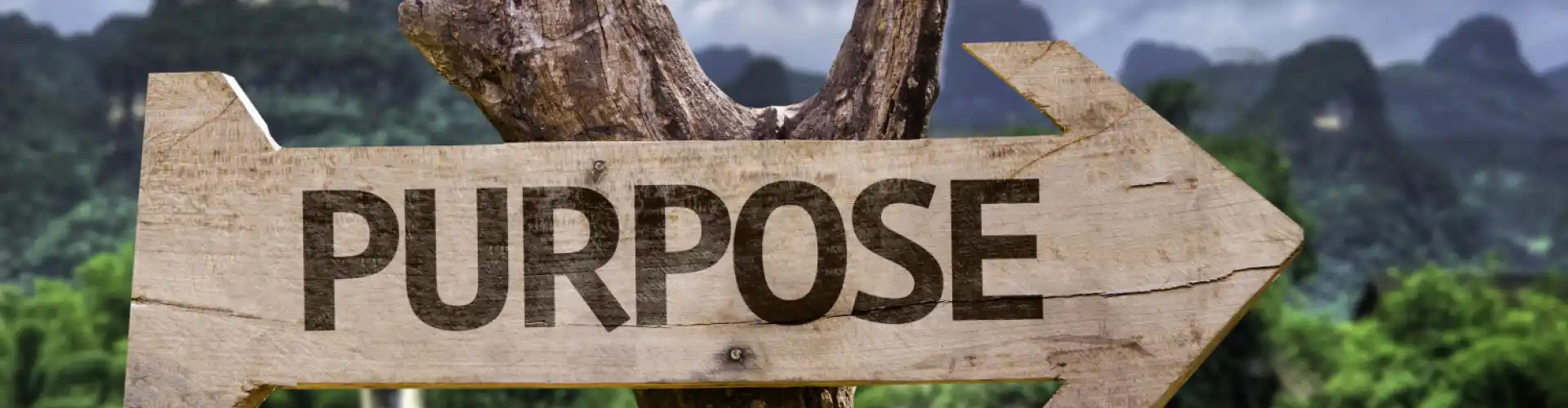 Life Purpose and Meaning - Online Class by Blakely Petersen