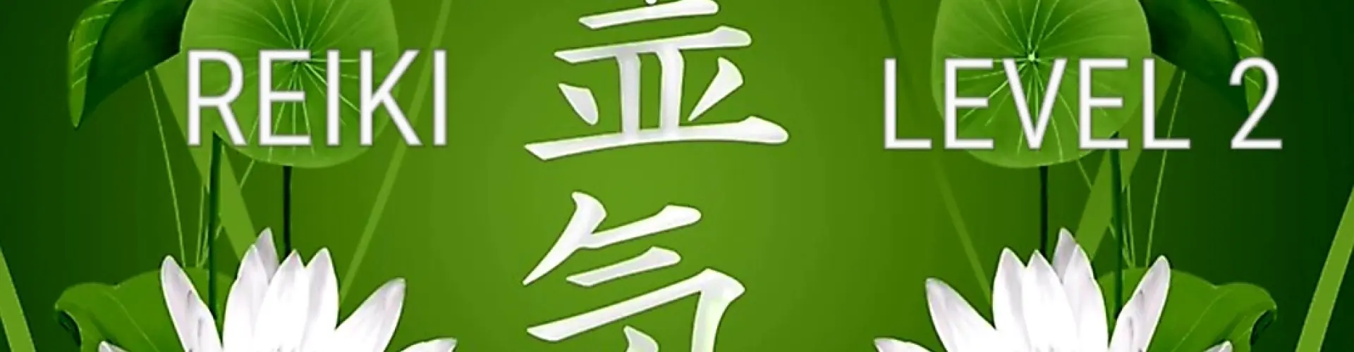 Reiki Nivel 2 - Online Class by Cassaundra Paolini