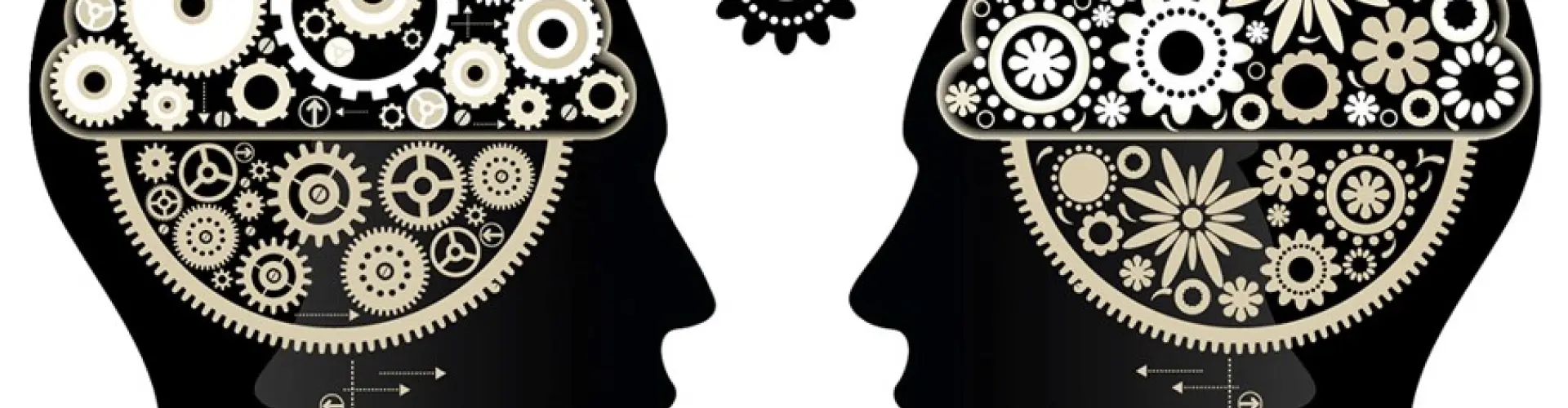 How to Support a Healthy Brain - Online Class by Maureen  Doran
