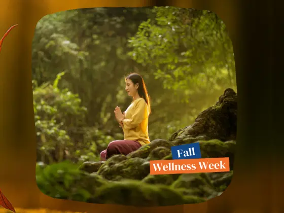 Sonbaharın Kucaklaşması: Sonbahar Ekinoksu Reiki Meditasyonu